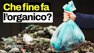 Come l'organico di casa diventa biometano e fertilizzante: sono andato dentro uno "stomaco gigante"