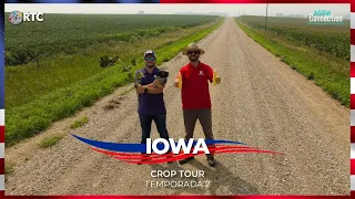 Crop Tour: Confira tudo sobre Iowa, o estado mais agricultável dos EUA  (T.2 E.1 #5) - 31/07/2021