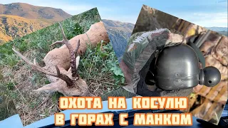 Охота на косулю с манком в горах🏔🏔🏔