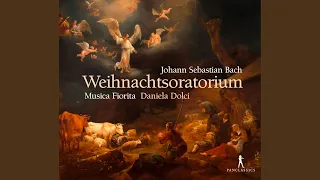 Weihnachtsoratorium, BWV 248, Pt. 5: No. 51, Ach, wenn wird die Zeit erscheinen