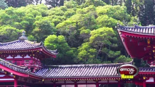 The Byodo-In Temple, valley of the Temples - Best Memorial Park - Hawaii 2016