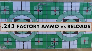 .243 FACTORY AMMO vs RELOADS