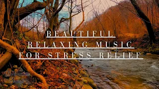 🍁Beautiful Relaxing Music for Stress Relief ~ Calming Music ~ Meditation, Relaxation, Sleep, Spa