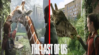 Giraffe Scene Comparison - The Last Of Us Videogame VS HBO Series | 4K 60FPS