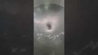 Whirlpool in Sink!