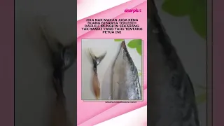 #shorts RAHSIA BUANG BISA IKAN KAYU@TONGKOL!! #viral #rahsia