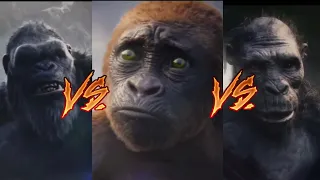 Kong Vs Suko & Apes | Godzilla X Kong The New Empire