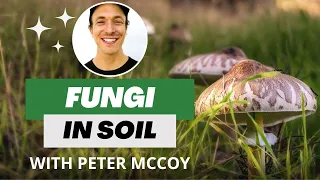 The Importance of Fungi in the World’s Soils | Peter McCoy