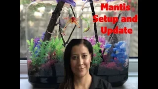 Praying Mantis setup and updates!!!!!!!!!!!!!!!!!!!!!!!!!!!!!!!!!!!!