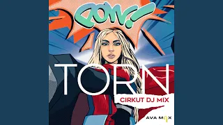 Torn (Cirkut DJ Mix)