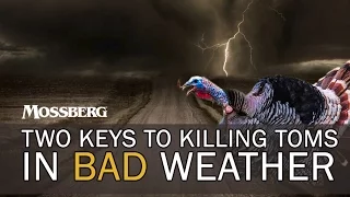 Turkey Hunting Bad Weather: How To Turkey Hunt Stormy Days