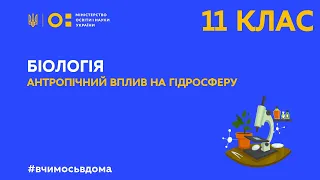 11 клас. Біологія. Антропічний вплив на гідросферу  (Тиж.2:ВТ)