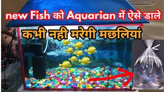 Aquarium में नई मछलियों को कैसे डाले? बाजार से लाई मछलियों को Aquarium में कैसे डाले? By THE KING,