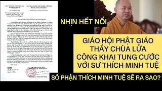 #938: Tập Đoàn “Thích Car Money” Chính Thức Tung Cước Với Tu Sĩ Thích Minh Tuệ | 17.05.24