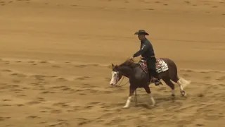 181003 Open Futurity Craig Schmersal on Pale Face Whiz