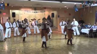 Chaika - UNF Hamilton Malanka 2014