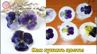 Как сушить цветы для эпоксидной  смолы| Секрет успешной сушки| How to dry flowers