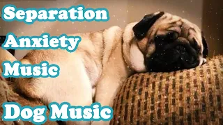 💖Soothing Separation Anxiety Jitters🎵Effective Strategies for Promoting Deep Sleep in Puppies🐶