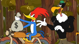 El Pájaro Loco | La guerra de los bosques | Dibujos Animados en Español
