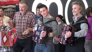 ✅ Tocadores de Concertina