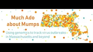 Much Ado about Mumps: Using genomics to track virus outbreaks in Massachusetts and beyond