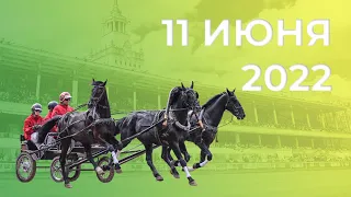 11.06.2022. Прямая трансляция с ЦМИ. Лето, жара, ипподром, русские тройки.