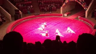 Dance performance by Indian students in Voronezh Russian federation("Apsara Aali" by Ajay Gogavale)