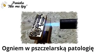 Zabezpieczanie uli przed złodziejami. Antykradzieżowe wypalanie wzoru na pasiece - gorący stempel