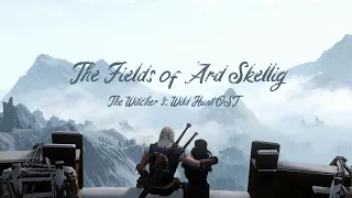 The Fields of Ard Skellig - The Witcher 3: Wild Hunt OST (Extended version)