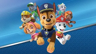 Paw Patrol 5