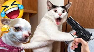 Funniest Cats And Dogs Videos🤣- Best Funny Animal Videos 2024😻Part 18