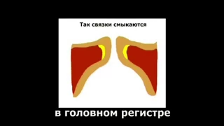 Смыкание голосвых связок