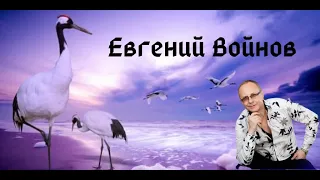 Евгений Войнов  -  " ЖУРАВЛИ "