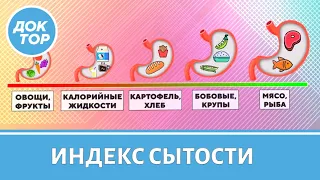 Какие продукты дают чувство насыщения?