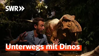 Dinos, Steinzeit und Fossilien – Vergangenheit hautnah erleben | SWR Treffpunkt