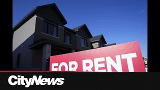 Business Report: Should rent be tied to your credit score?