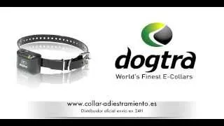 Dogtra YS300 Collar antiladridos automático educa al perro para que deje de ladrar