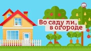 "Во саду ли, в огороде" (выпуск от 14.07.23)