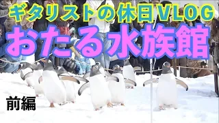 【小樽ゆるVLOG・前編】おたる水族館でペンギンの雪道散歩で癒される【ギタリストの休日】