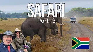 AFRICAN SAFARI Explore | Kruger park, South Africa | Wildlife | Part -03