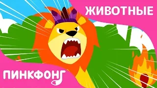 Лев | Песни про Животных | Пинкфонг Песни для Детей