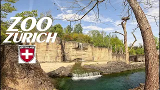 ZOO ZÜRICH - 4K