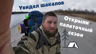 Дикие кадры. Открытие сезона. Увидел шакалов. Фотоохота на реке