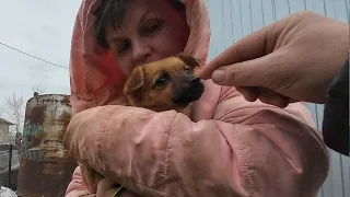 They wanted to give us an abandoned puppy, but people suddenly...