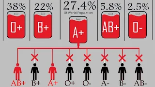 Comparison: BLOOD Group