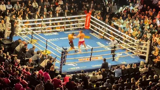 Canelo Alvarez vs Dmitry Bivol ( May 7, 2022)