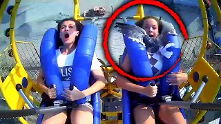 13-Year-Old Gets Facefull of Seagull on Amusement Park Ride
