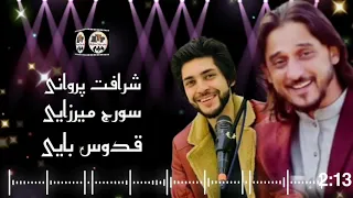 Sharafat Parwani and Suraj Mirzai💖اهنگ مست شرافت پروانی و سورج میرزایی