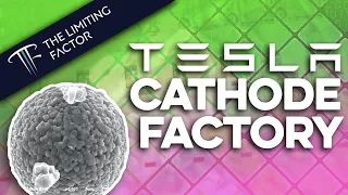 #12 Tesla's Cathode Production Process // Breaking the Price Floor