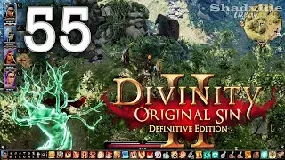 Спасение Сахейлы — Divinity: Original Sin 2 Прохождение #55